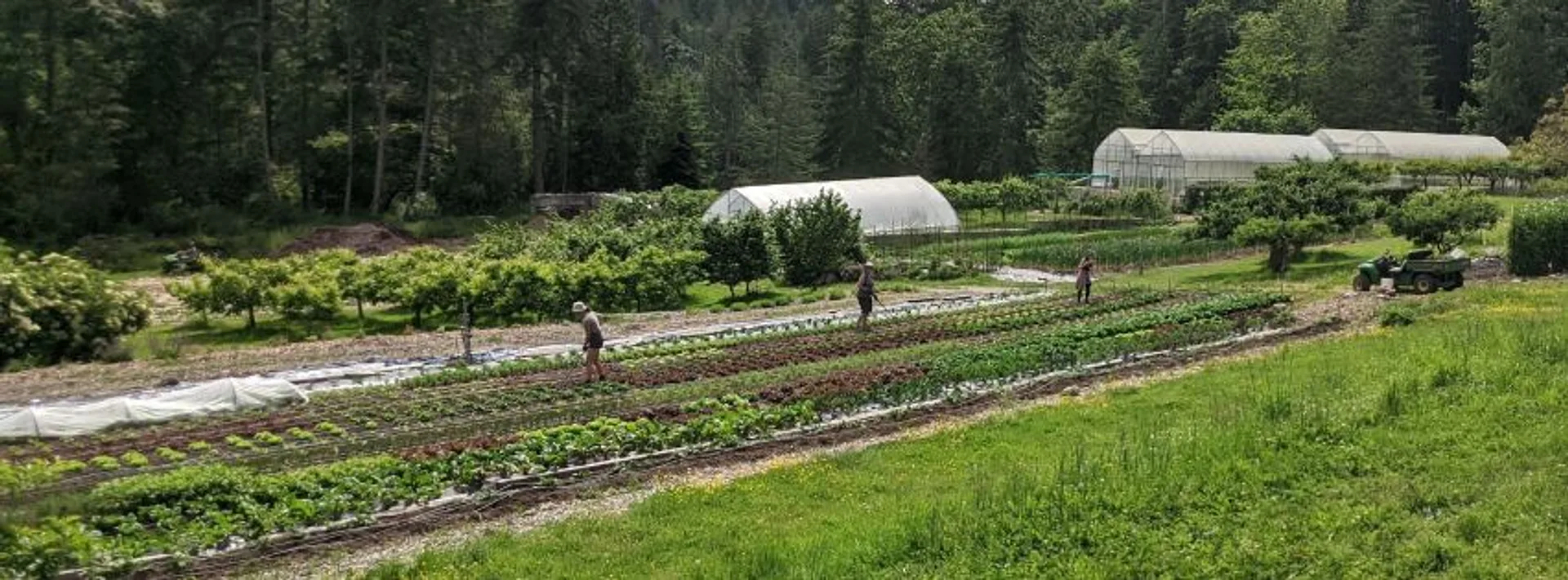 Raven Rock Farm