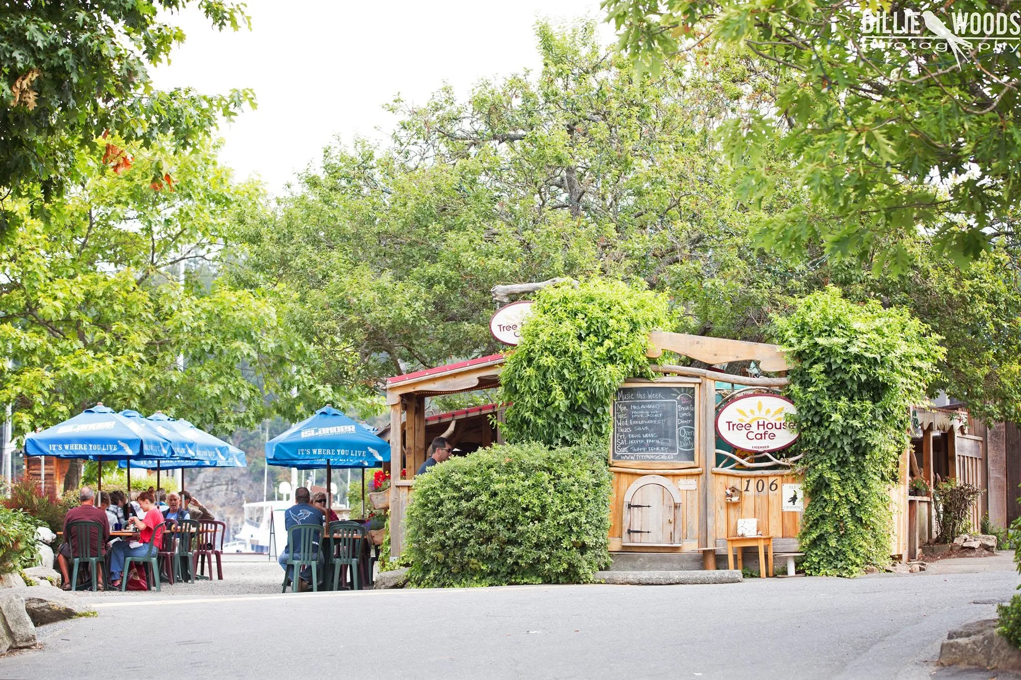 Tree House Cafe Building in the Summer time