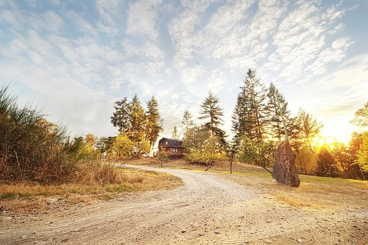 Bodega Ridge cabin in the woods