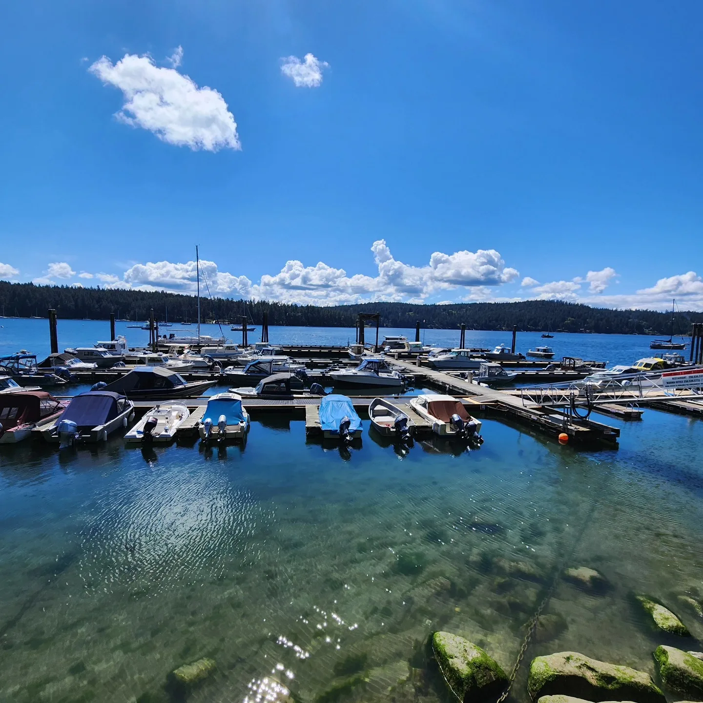 Montague Harbour Marina Dock