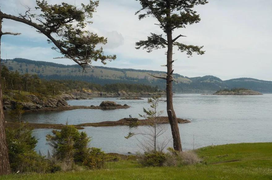 Brooks Point Regional Park view of the ocean