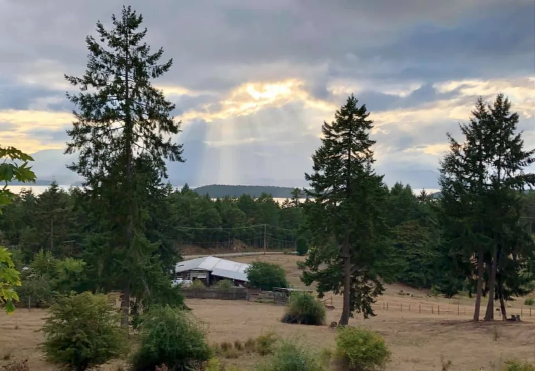 Sunset Farm