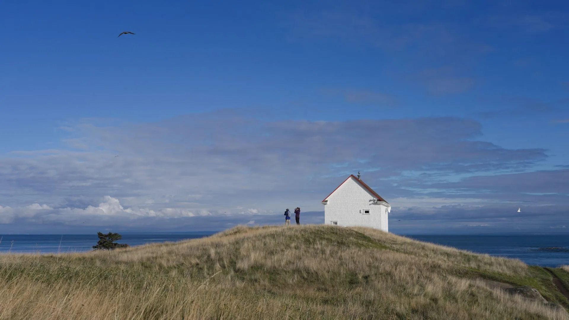 Saturna island with blue skies and small house in background