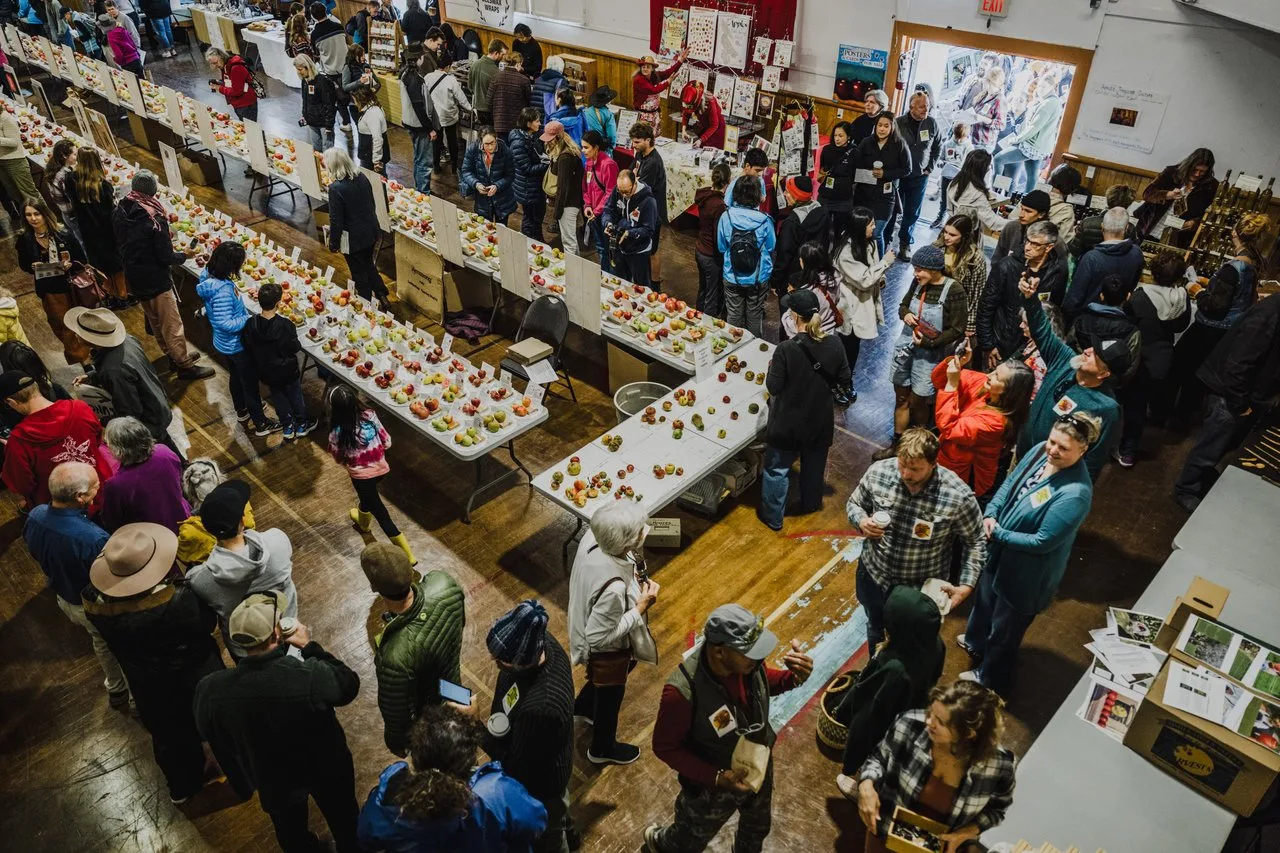 a large crowd moves through a community hall in celebration of apple fest