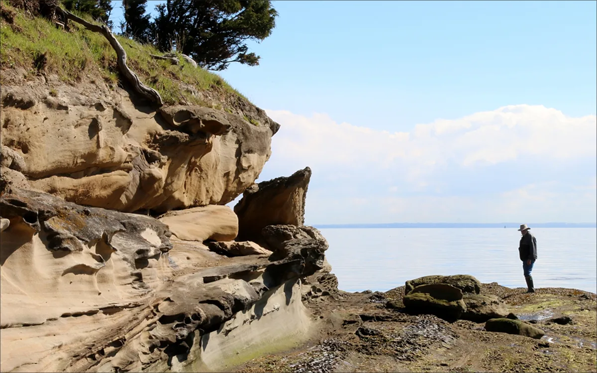 someone walking along the ocean shore amongst the iconic rocks of the southern gulf islands